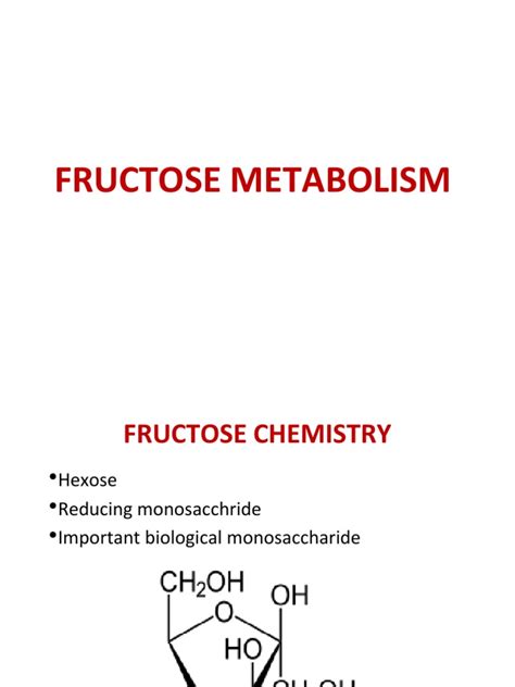 12 Fructose Metabolism Pdf Fructose Glycolysis