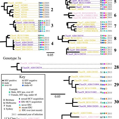 Clusters From Maximum Likelihood Phylogenetic Trees Constructed With