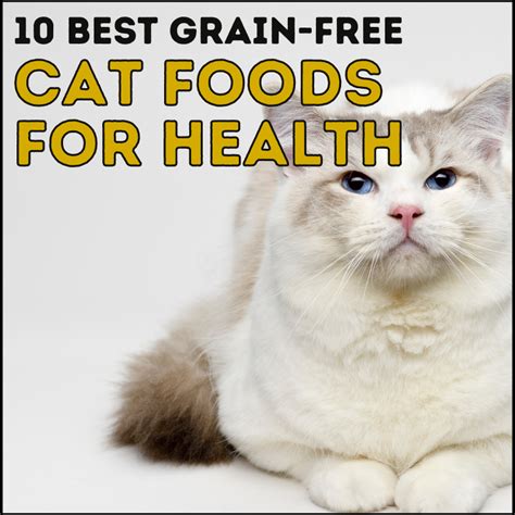 A Full Low Carb Cat Food List for Healthy Eating in 2023