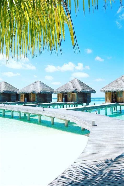 Water Villa: The Maldives | Best honeymoon destinations, Maldives, Water villa