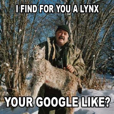 I Can Haz Lynx I Can Haz Lynx Marketing Humor I Can Haz Memes