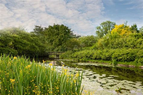 Beautiful Landscape Of Park Trees Located Along The Bank Of The Canal