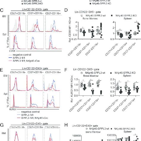 Sppl3 Regulates Glycosylation Of Nk Cells A And B Western Blot Of