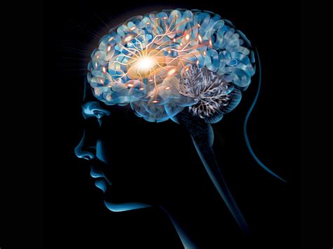 Addiction Body Science FDA, FTC Warn Companies Marketing Supplements