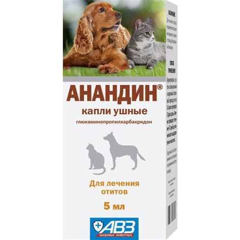 Анандин капли ушные 5 мл купить на OZON по низкой цене (830993269)