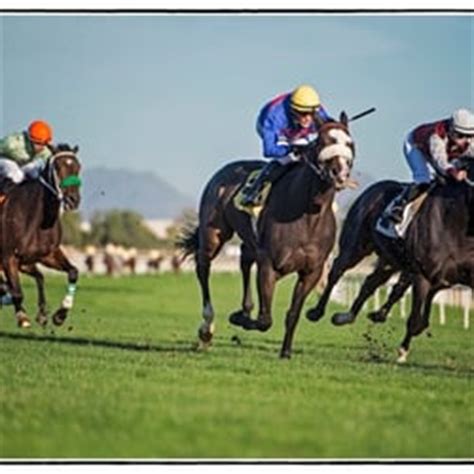 Turf Paradise Race Course - 142 Photos & 62 Reviews - Horse Racing ...