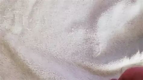 Free Small Cock Cum Gay Porn Videos XHamster