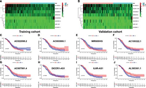 Frontiers Derivation Comprehensive Analysis And Assay Validation Of