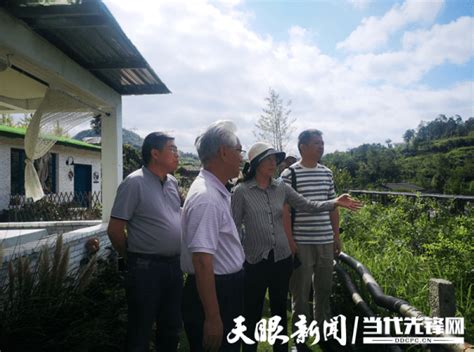 贵阳市委老干部局调研乌当区“微菜园”示范基地建设情况 偏坡布依族乡