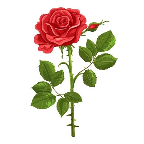 Un Dibujo De Una Rosa Roja Con Hojas Verdes Vector Premium Generado