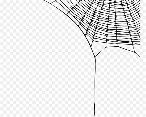 Spider Web Theridiidae Euclidean Vector Vector Spider Web Png