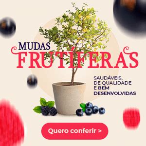 Microverdes Como Cultivar E Produzir Blog Da Plantei