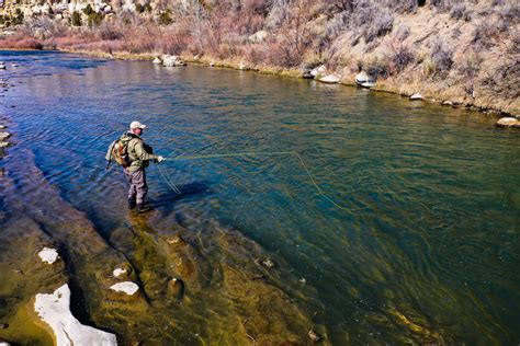 ways to fish not moving naturally 11