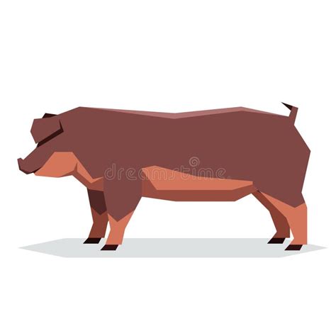 Duroc Jersey Ilustraciones Stock Vectores Y Clipart 49