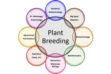 Statistical Methods For Analyzing Multivariate Data In Plant Breeding