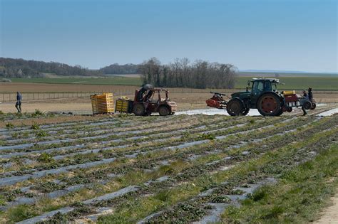 Face au risque de pénurie alimentaire les Français sont ils bien