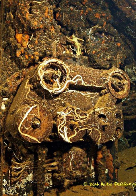 Inside a submarine wreck: Aldo Ferrucci’s stunning photos from a WW2 ...