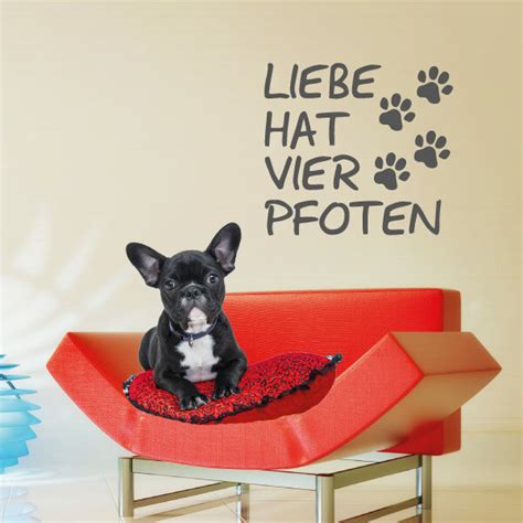 Wandtattoo Hunde Liebe Hat Vier Pfoten Abc Aufkleber De