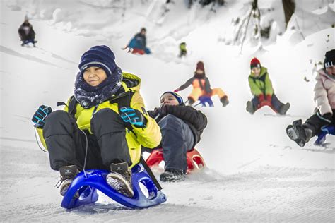 Naturrodelbahn Neuastenberg Wintersport Arena Sauerland Flickr