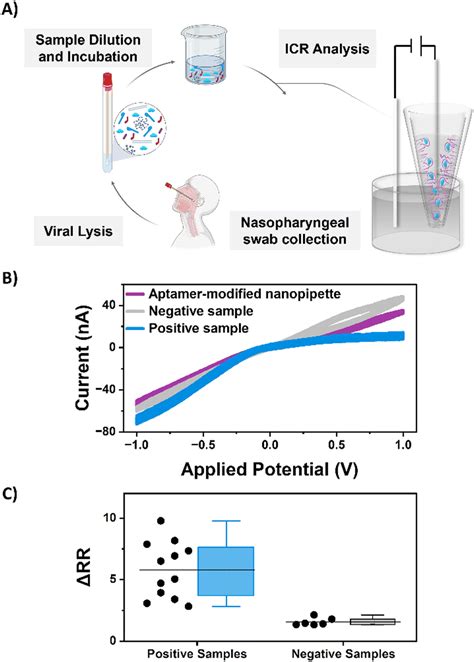 Aptamer Functionalized Nanopipettes A Promising Approach For Viral