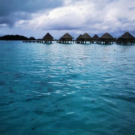 Premium Photo Traditional Thatched Hut Immersed In Natural Beauty