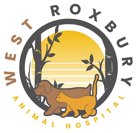 About West Roxbury Animal Hospital Vet In West Roxbury Ma 02132