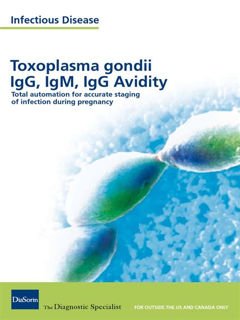 M0870004275 Toxoplasma Igg Igm Torch Flyer Low Pdf Infection Serology