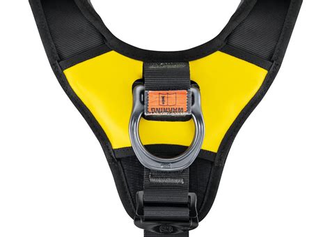 Avao® Bod Fast International Version Harnesses Petzl Usa