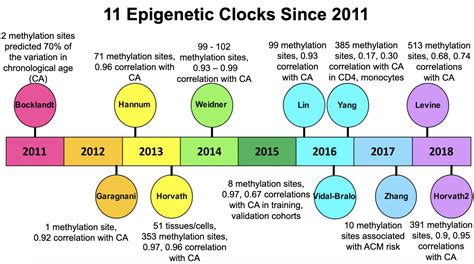 Aging Clocks IEEE Future Directions