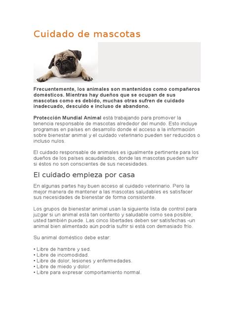 Cuidado De Mascotas Mascota Bienestar De Los Animales