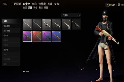 黄金m4★枫叶m4★镀银m4★锦衣ak★17兽762★滑雪镜 Pubg吃鸡 全区 全服 Gg租号