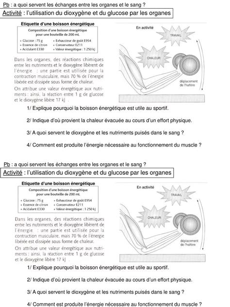 Ppt Pb A Quoi Servent Les échanges Entre Les Organes Et Le Sang