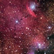 Emission Nebula Ngc 6559 Photograph By Robert Gendler Science Photo