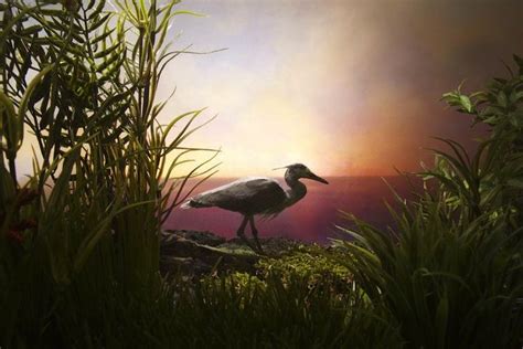 Hyper-Realistic Nature Dioramas | Miniature photography, Diorama, Photography work