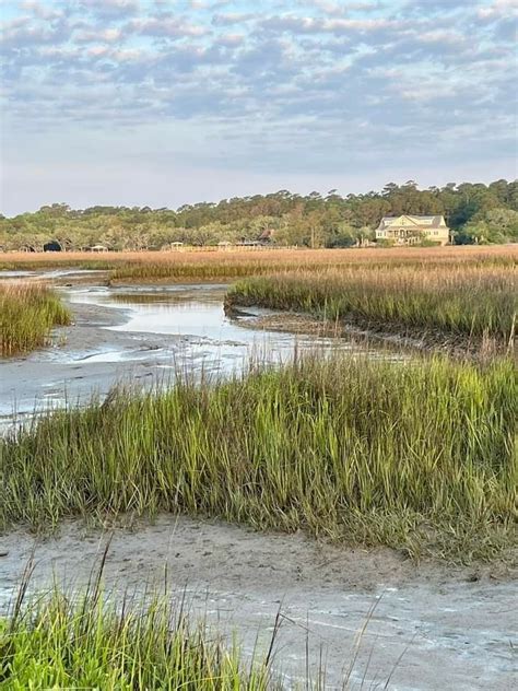 The Water Is Running Through The Marshy Land