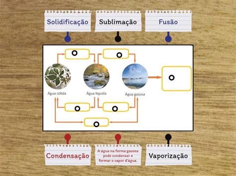 Estados Fisicos Da Agua 5 Ano - Estados físicos da água 5º ano - Labelled diagram