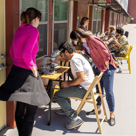 Amazement At The Victorian Microscope Art Meetup — San Francisco