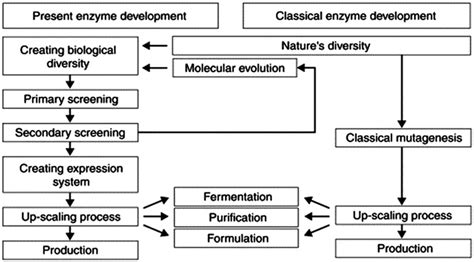 Some Industrial Applications Of Enzymes Download Scientific Diagram