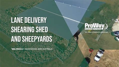 Proway 6 Stand Lane Delivery Shearing Shed And Sheep Yards Mandurama