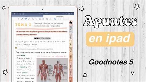 🏼 Goodnotes 5 Tutorial Cómo Tomar Apuntes En El Ipad Con Goodnotes Hardpeach Youtube