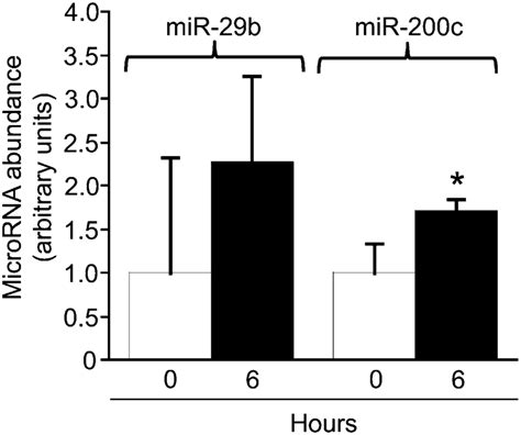 Effects Of Milk Micrornas On The Abundance Of Micrornas In Human