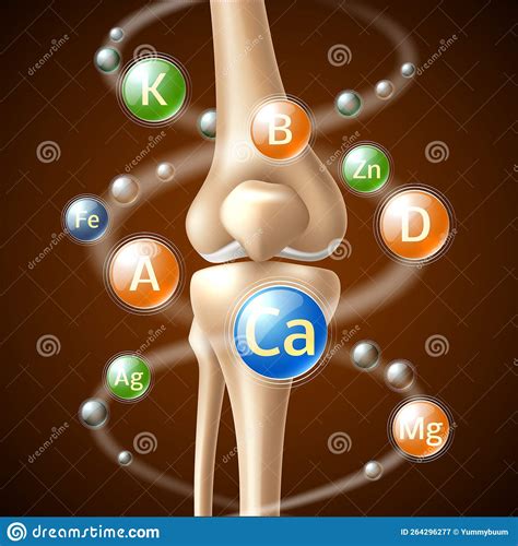 Realistic Knee Joints. Osteoarthritis Treatment, Anti Inflammatory