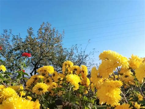 Sutra Prete No Sun Ano I Toplo Temperatura Do Stepni Okvir