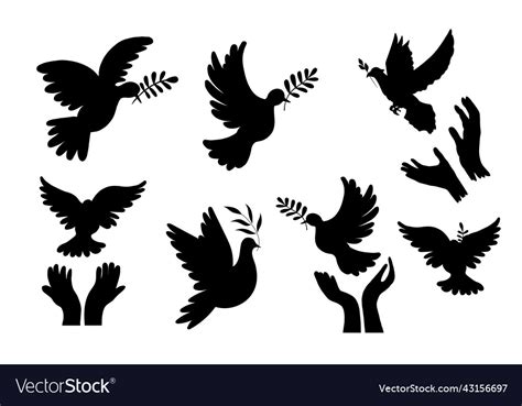 Release Flying Pigeon Branch Dove Of Peace Vector Image