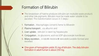 Estimation Of Serum Bilirubin By Dr Tehmas Ppt