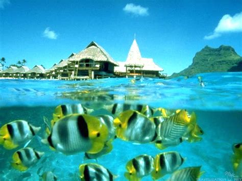 Tahiti 2