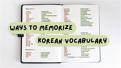 How I Study And Memorize Korean Vocabulary Free Notion Template