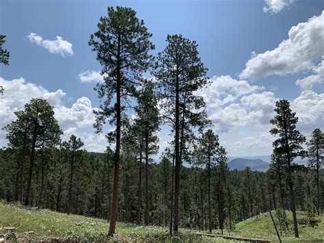 Wyoming's Bear Lodge Mountains : Tranquil Trekker