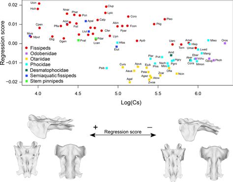 Results Of The Pgls Regression Of Sacrum Shape On Log Transformed