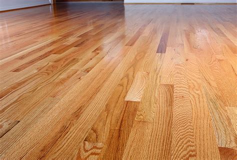 Top Rated Hardwood Floor Finishes At Tainafmcgoverno Blog